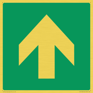 E907 Safe condition: Up / forwards arrow (90 deg supplimentary)